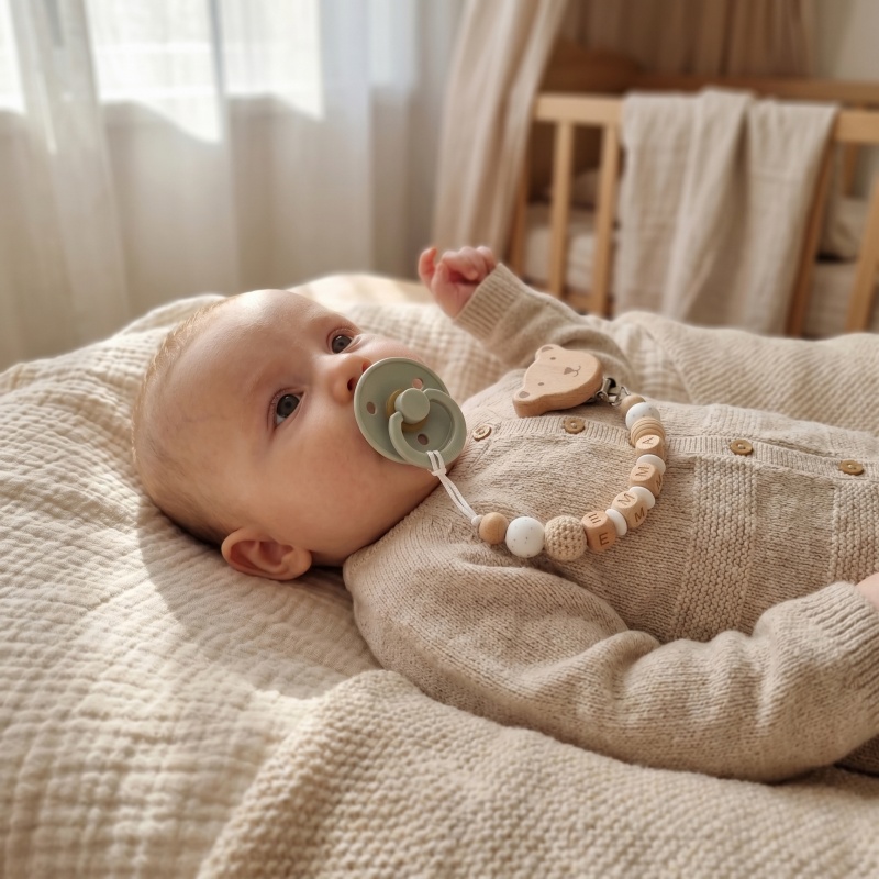 Personalized Pacifier Clip Cus - Baby Food Name recension och pris
