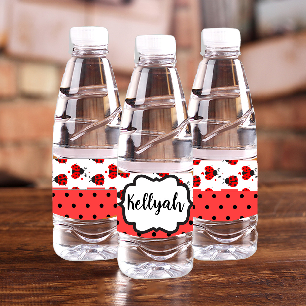 Personalised Ladybug Red Polka - Baby Food Name recension och pris